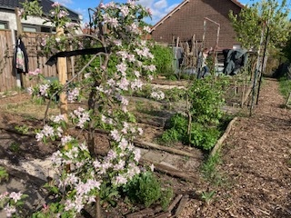 Tuin 5 Bloemfonteinstraat